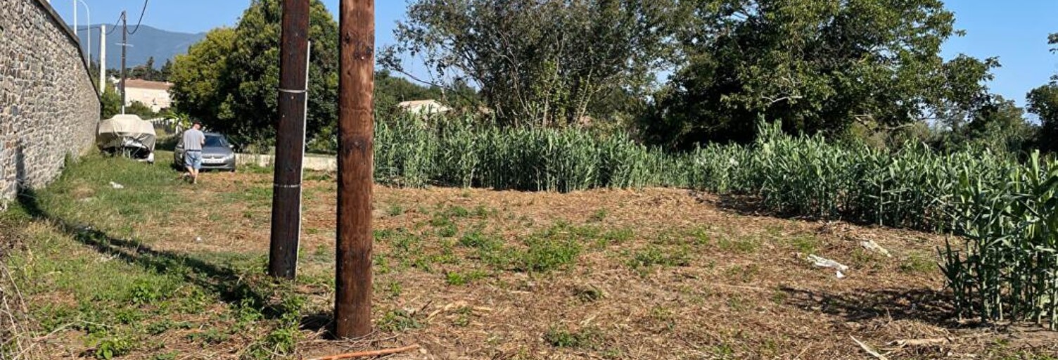 Terrain  2732 m² à vendre à Venzolasca (20215)