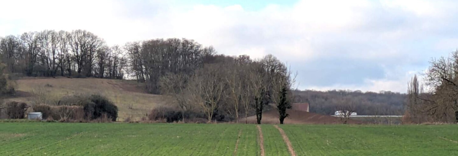 Terrain  33000 m² à vendre à Sainte-Maure-de-Touraine (37800)