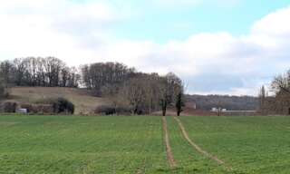 Terrain  33000 m² à vendre à Sainte-Maure-de-Touraine (37800)
