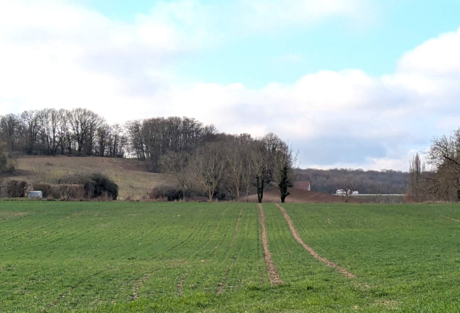 Vente terrain  33000 m² Sainte-Maure-de-Touraine (37800) — photo 1