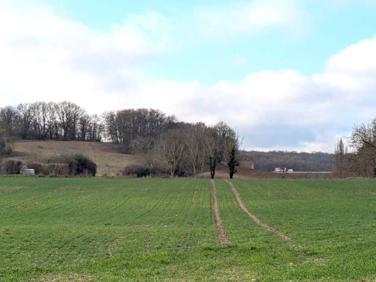 Terrain à construire  33000 m²  — photo 1