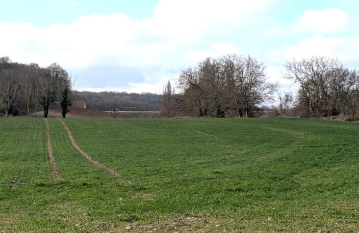 Vente terrain  33000 m² Sainte-Maure-de-Touraine (37800) — photo 2