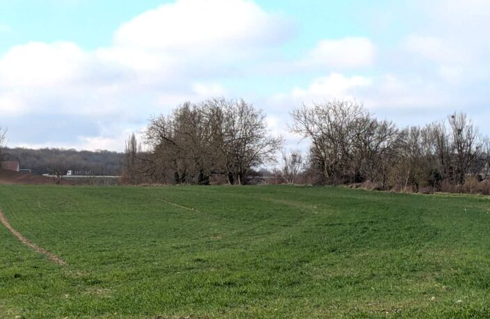 Vente terrain  33000 m² Sainte-Maure-de-Touraine (37800) — photo 3