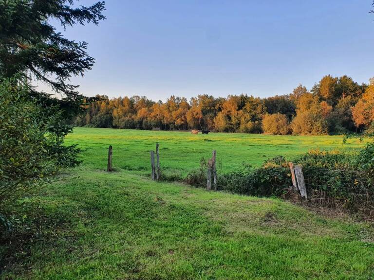 CHARMANTE MAISON ANCIENNE AU CALME AVEC DÉPENDANCE ET BEAU TERRAIN SANS VIS-À-VIS — photo 1