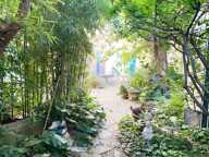 Avignon intra-muros, maison de caractère avec jardin à restaurer — photo 2
