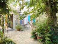 Avignon intra-muros, maison de caractère avec jardin à restaurer — photo 3