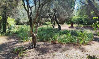 Terrain   m² à vendre à Nîmes (30000)