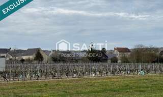 Terrain  5989 m² à vendre à Bourgueil (37140)