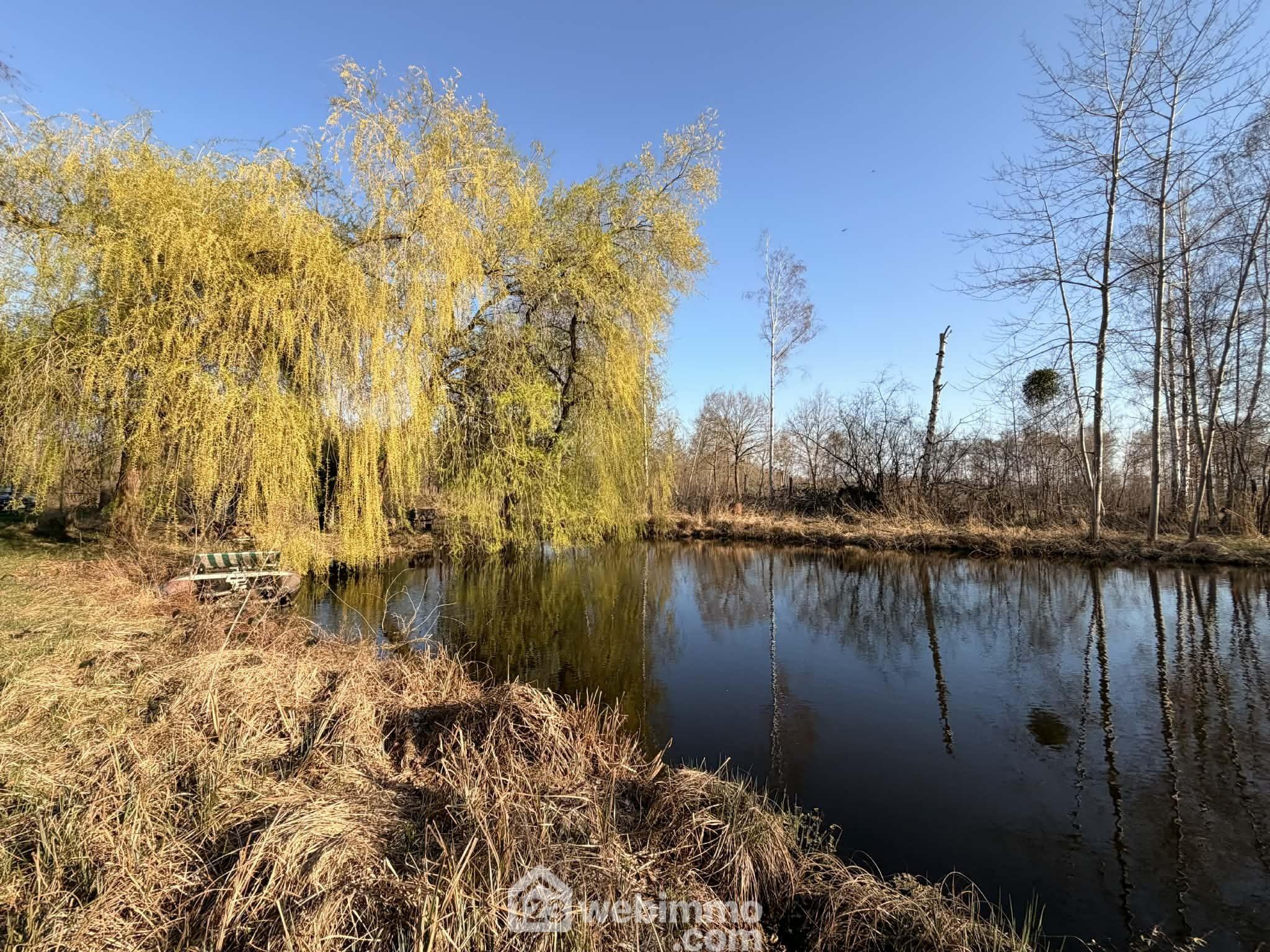 Agence immobilière de 123webimmo.com