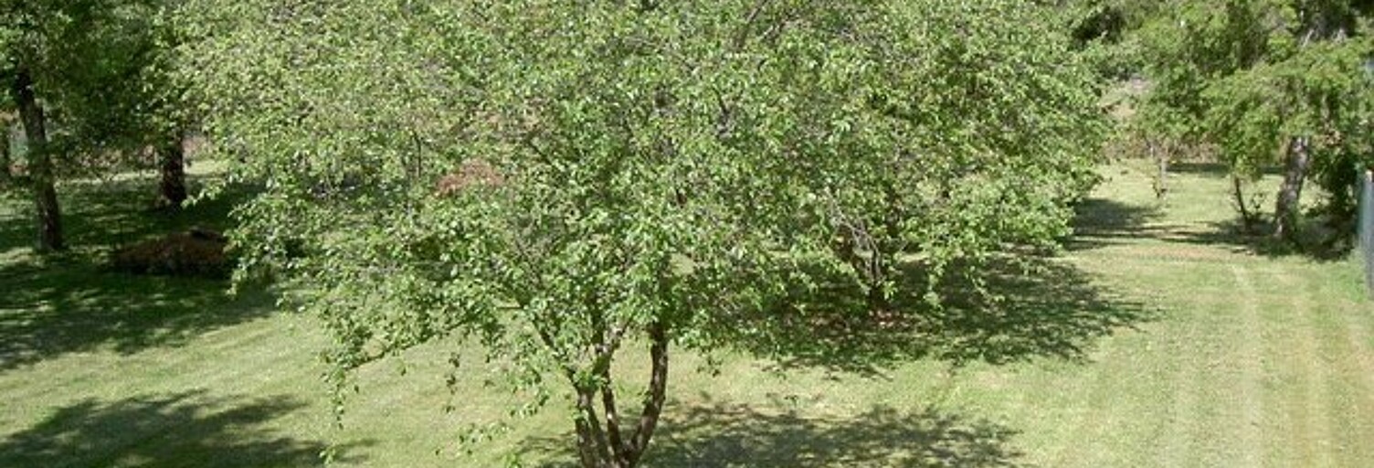 Terrain  1705 m² à vendre à Esmans (77940)