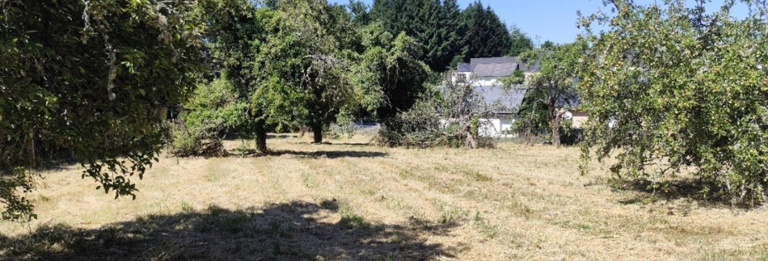 Terrain  2399 m² à vendre à Égletons (19300)