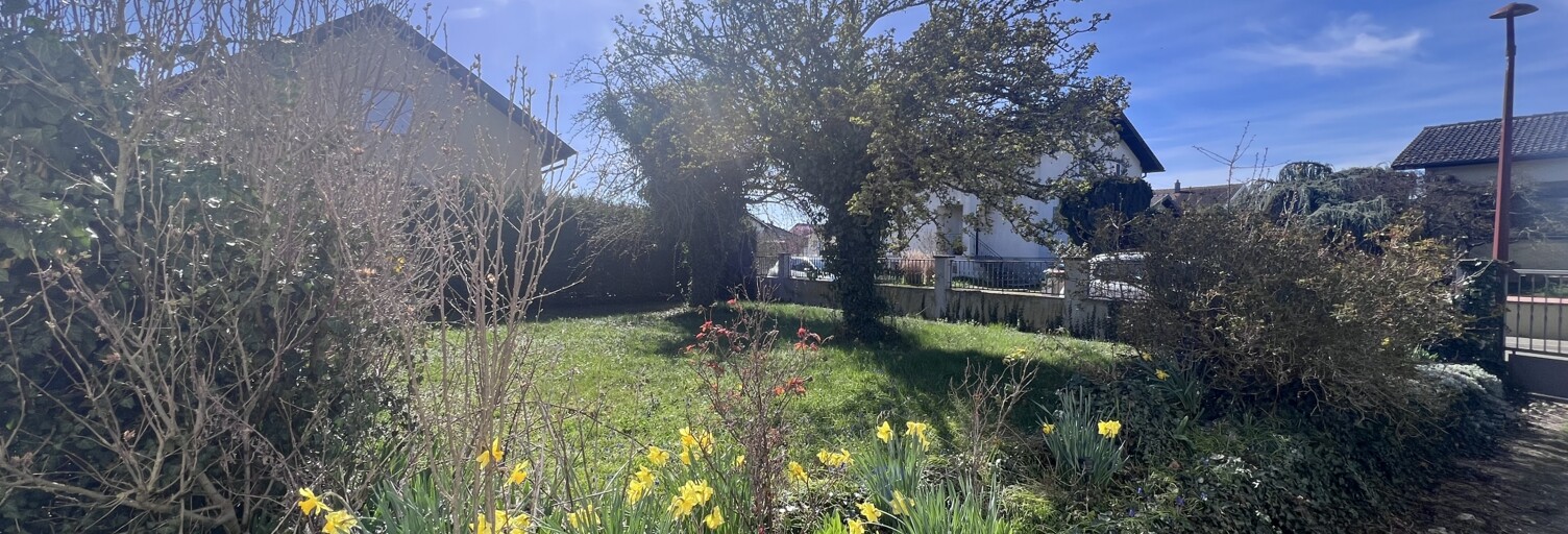 Maison 4 Pièces 111 m² à vendre à Feldkirch (68540)