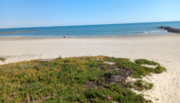 Appartement 3 pièces  à louer Candillargues 34130