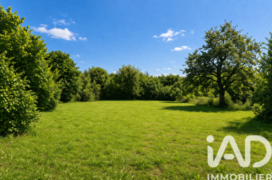 Terrain  135000 €