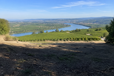 Terrain  67000 €