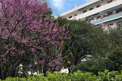 Appartement 3 pièces 160000 €