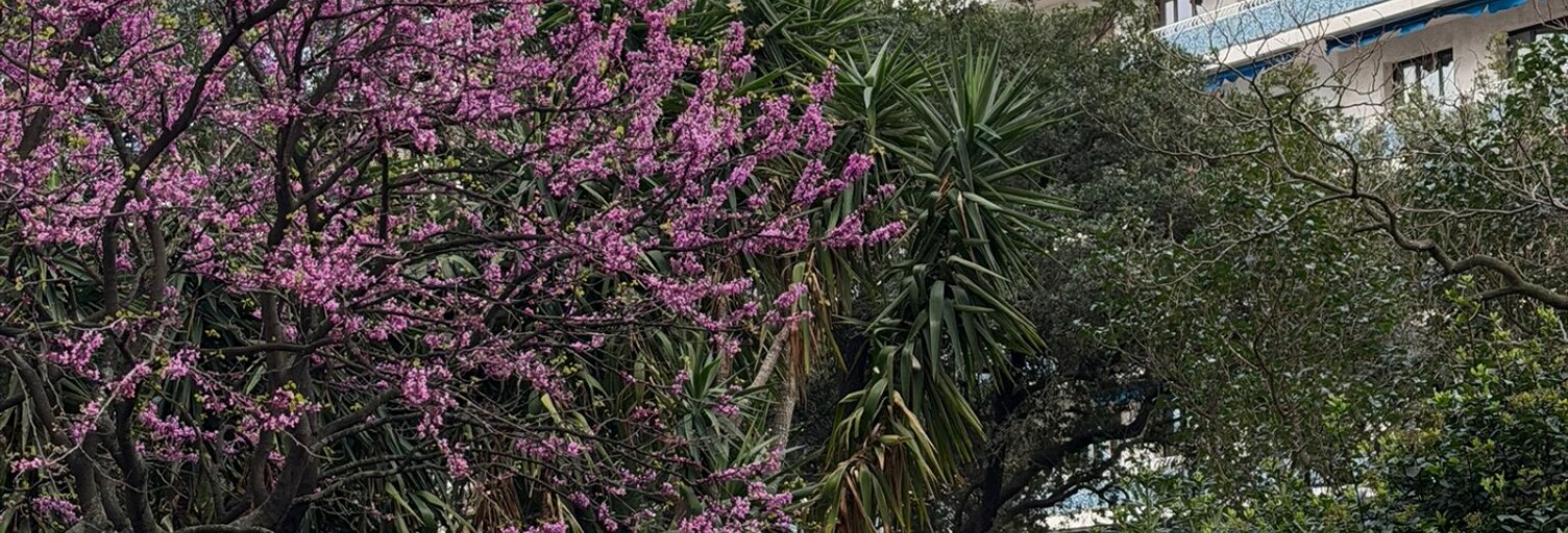 Appartement 3 Pièces 54 m² à vendre à Toulon (83000)