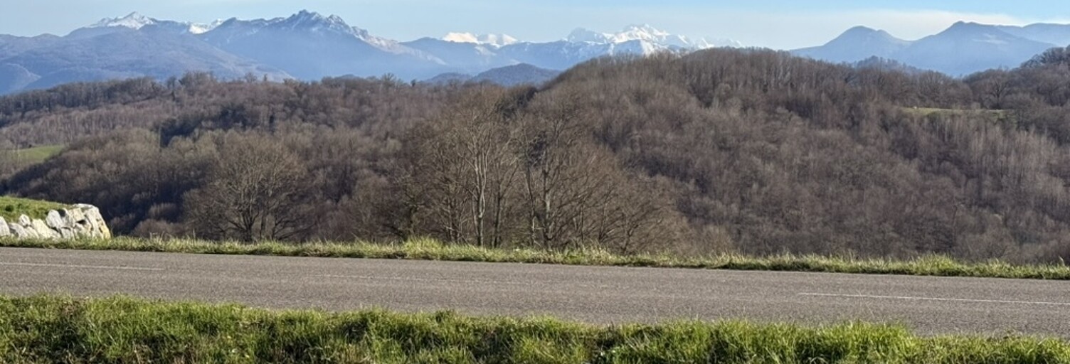 Terrain  2380 m² à vendre à Esquiule (64400)