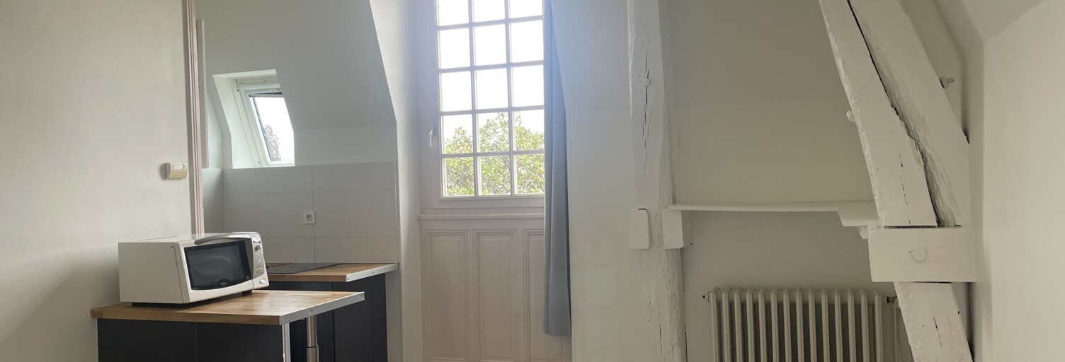 Appartement 1 Pièce 22 m² à louer à Amboise (37400)