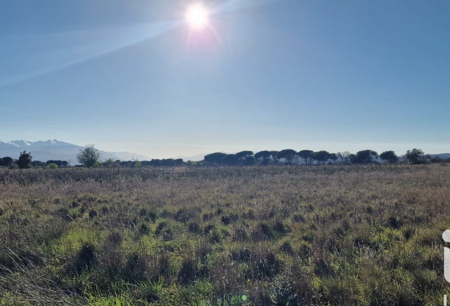 Vente Terrain agricole 6 360 m&sup2; — photo 1