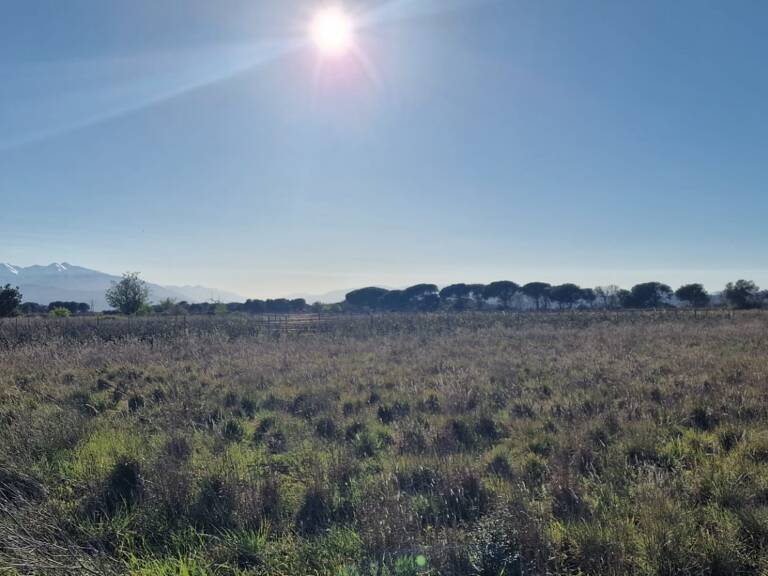 Vente Terrain agricole 6 360 m&sup2; — photo 1