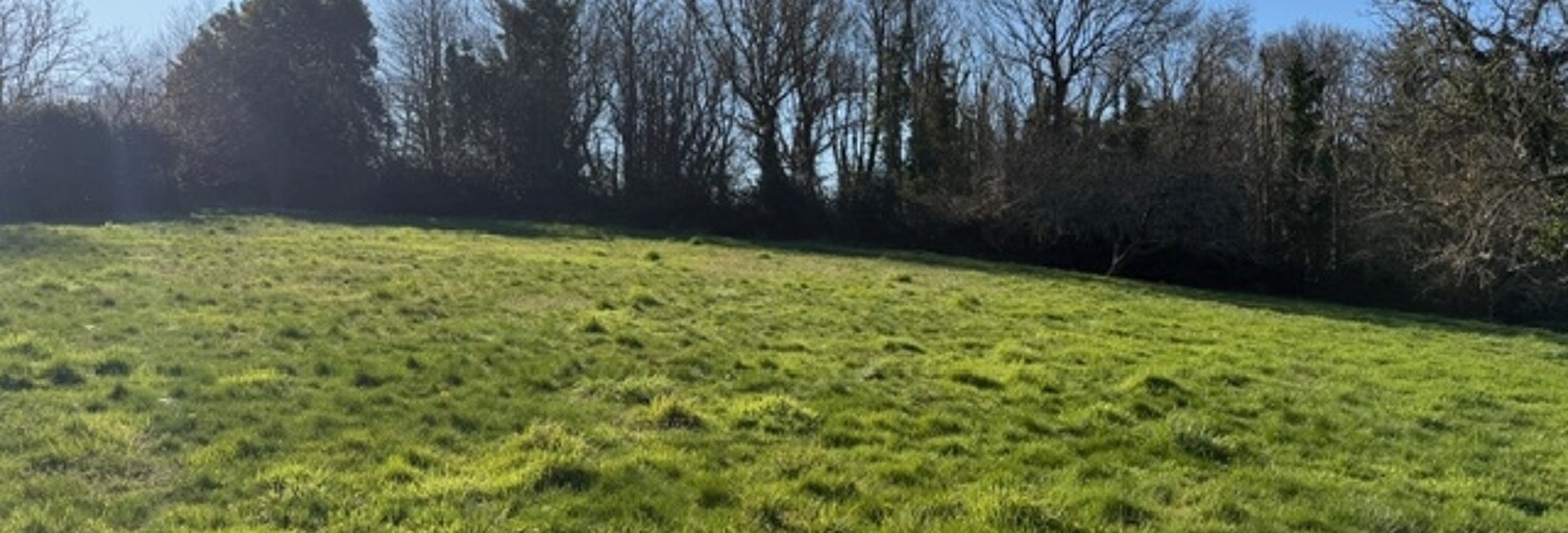 Terrain  2600 m² à vendre à Fouesnant (29170)