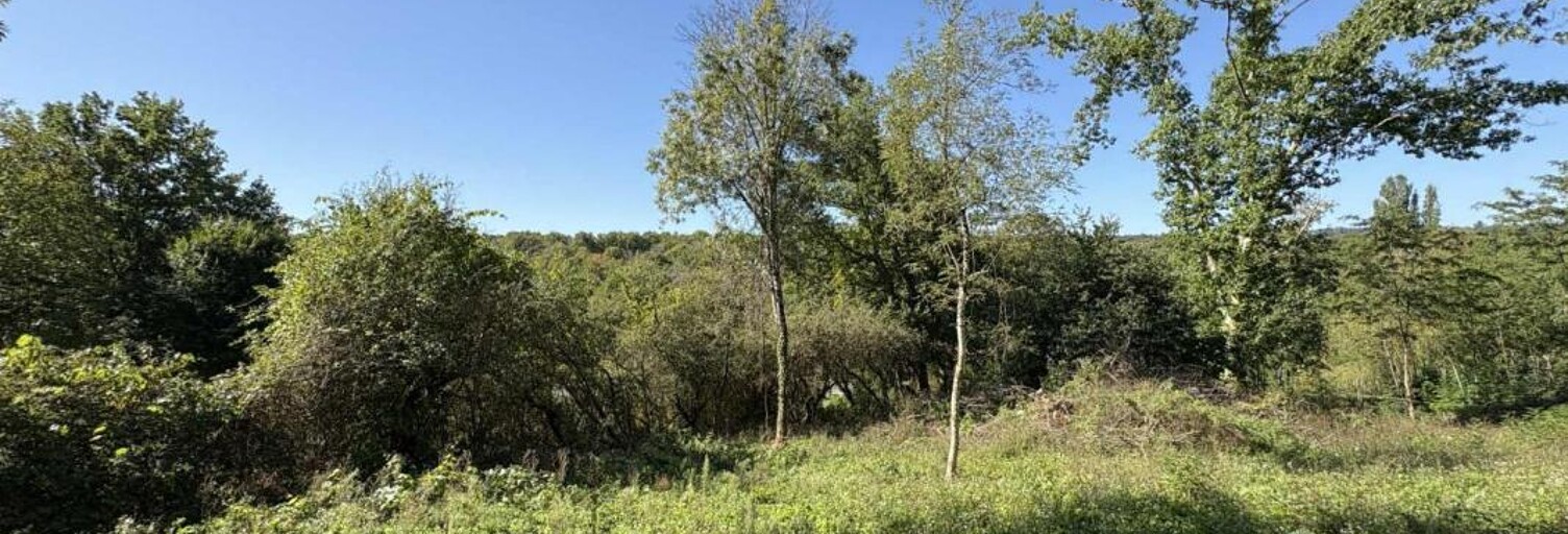 Terrain  2323 m² à vendre à Le Menoux (36200)