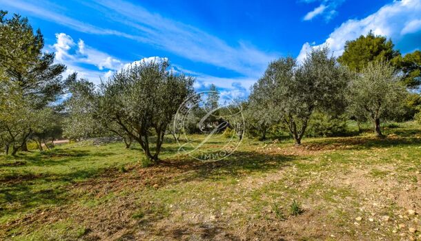 Terrain  à vendre Flayosc 83780