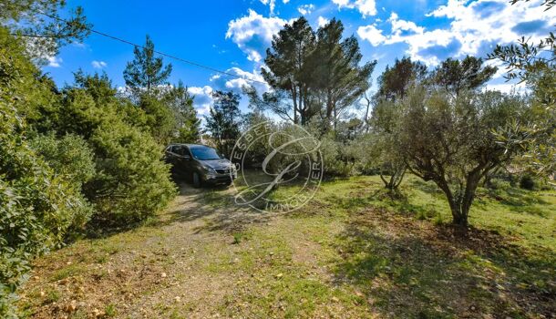 Terrain  à vendre Flayosc 83780