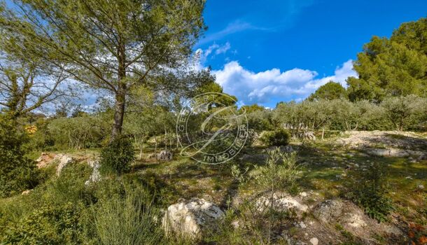 Terrain  à vendre Flayosc 83780