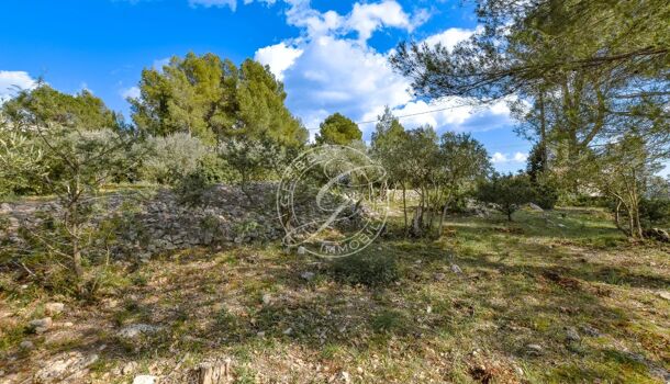 Terrain  à vendre Flayosc 83780