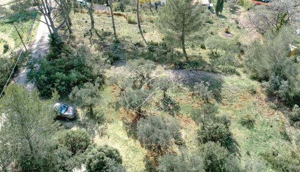 Terrain  à vendre Flayosc 83780