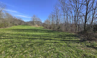 Terrain  15964 m² à vendre à Saint-Cierge-sous-le-Cheylard (07160)