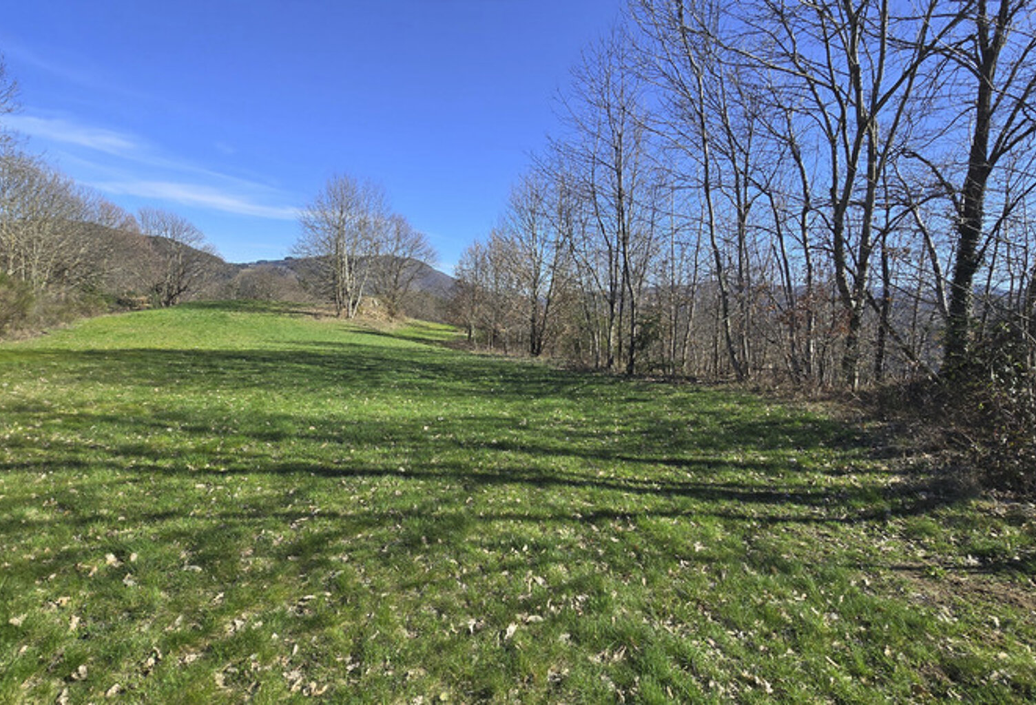 Terrains constructibles de 15 964,00 m² SAINT CIERGE SOUS LE CHEYLARD (07) — photo 1