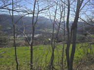 Terrains constructibles de 15 964,00 m² SAINT CIERGE SOUS LE CHEYLARD (07) — photo 2