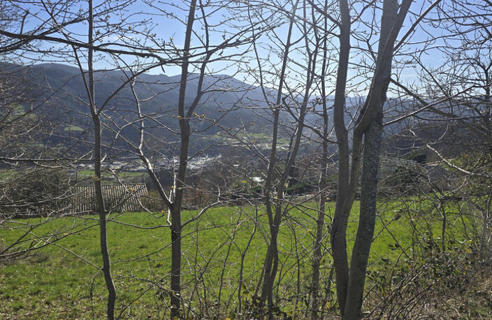 Terrains constructibles de 15 964,00 m² SAINT CIERGE SOUS LE CHEYLARD (07) — photo 2