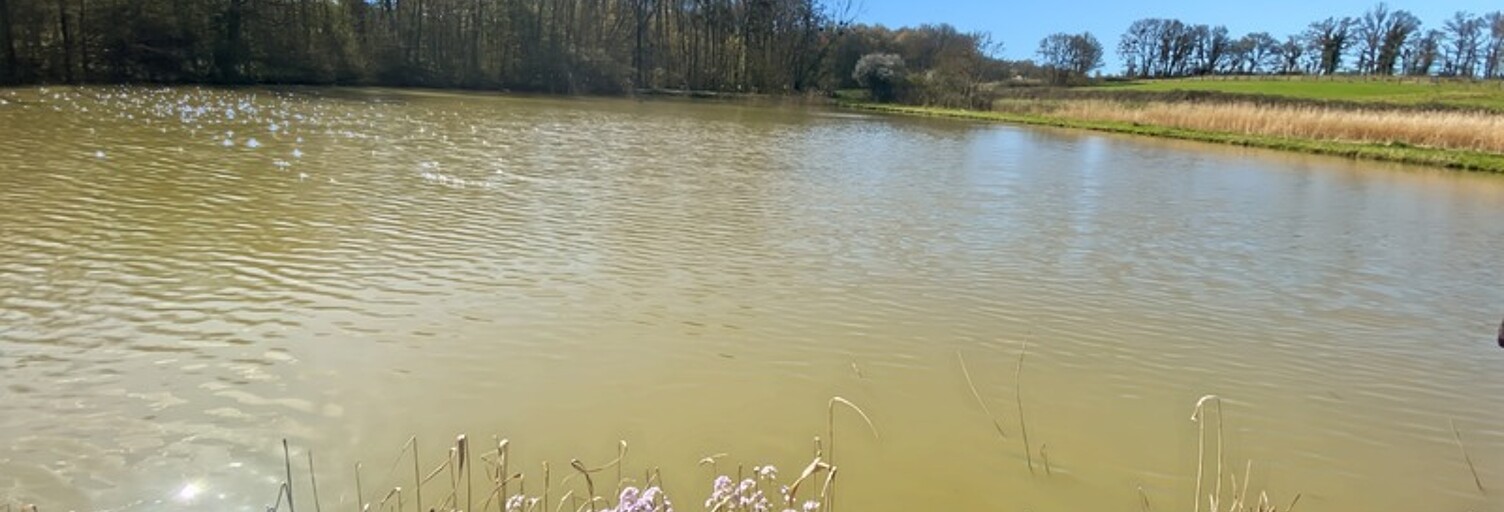 Commerce  8350 m² à vendre à Savigny-sur-Seille (71440)