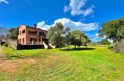À vendre Villa 7 pièces de 205 m², Terrain 2 700 m², Havre de paix, Folelli, Penta di Casinca, Haute-Corse (20) — photo du bien
