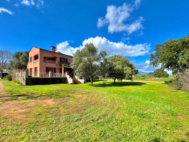 À vendre Villa 7 pièces de 205 m², Terrain 2 700 m², Havre de paix, Folelli, Penta di Casinca, Haute-Corse (20) — photo du bien
