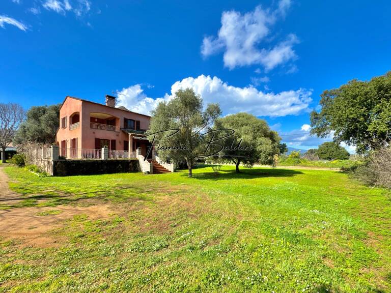 À vendre Villa 7 pièces de 205 m², Terrain 2 700 m², Havre de paix, Folelli, Penta di Casinca, Haute-Corse (20) — photo 1