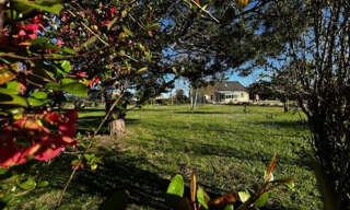 Maison 6 Pièces 118 m² à vendre à Loire-Authion (49630)