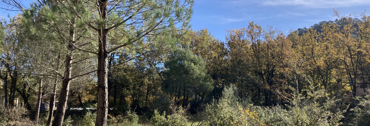 Terrain 1000 m² à construire Néoules (83136)