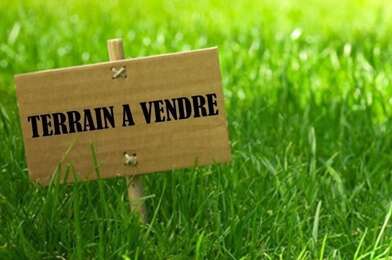 Terrain  79000 €