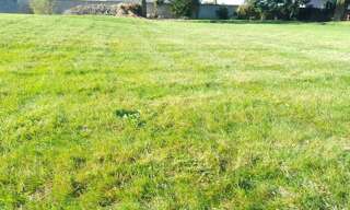 Terrain  1300 m² à vendre à Monnaie (37380)