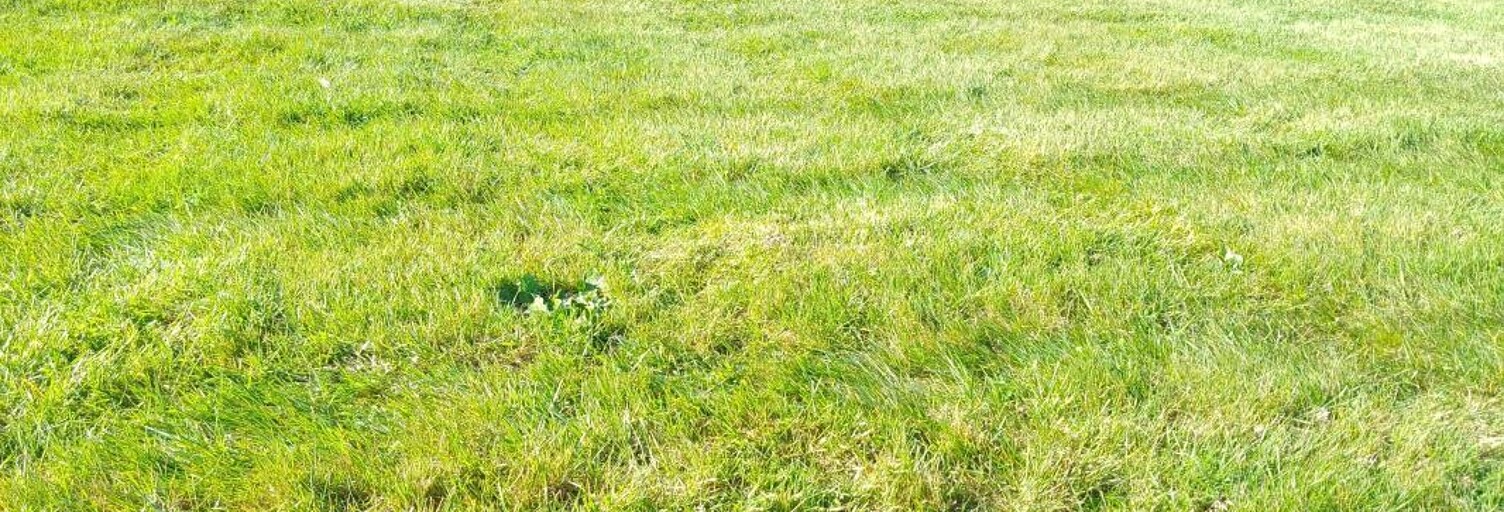 Terrain  1300 m² à vendre à Monnaie (37380)