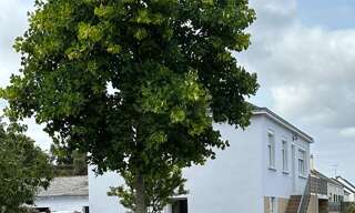 Maison 6 Pièces 125 m² à vendre à Herbignac (44410)