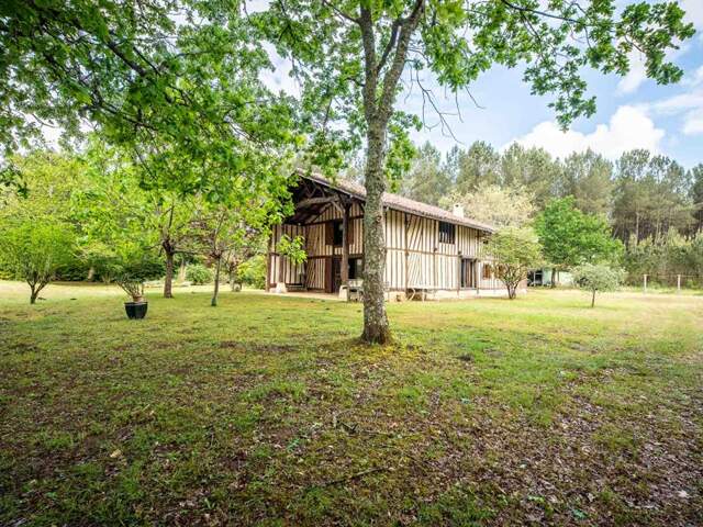 Maison Landaise entre pins et Océan — photo du bien