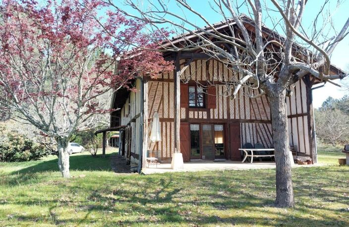 Maison Landaise entre pins et Océan — photo 2