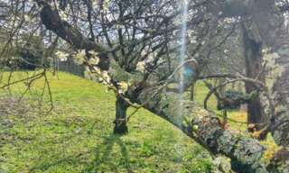 Terrain  640 m² à vendre à Déols (36130)