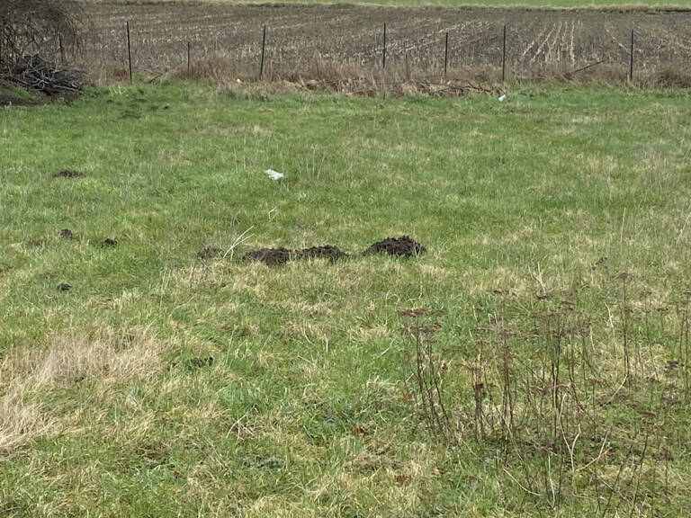 À Leforest, terrain de 880m2 en second  rang à acheter avec — photo 1